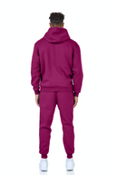 ENSEMBLE FR 102 PURPLE