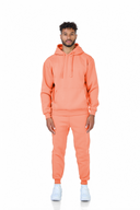 ENSEMBLE FR 102 SALMON