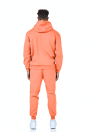 ENSEMBLE FR 102 SALMON