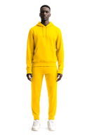 Ensemble FR 102 Moutarde