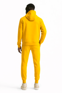 Ensemble FR 102 Moutarde