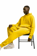 Ensemble FR 102 Moutarde